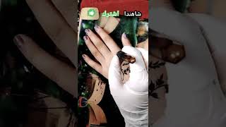 نقش صنعاني قديمي screenshot 4