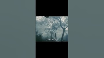 أَلَمْ يَجِدْكَ يَتِيمًا فَآوَىٰ | محمد صديق المنشاوي | سورة الضحى