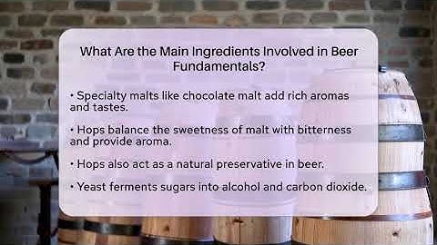 What Are the Main Ingredients Involved in Beer Fundamentals? | The Pint Guy