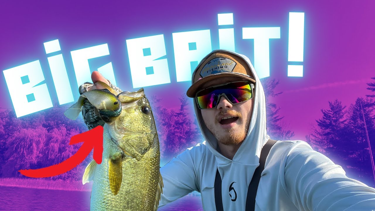 Catch BIG BASS on the 6th Sense Fishing Sweep Swimbait!