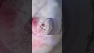 Sweet Time Jamunpandran Ya Vanthuruku Of My Self