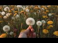 Floating in the Unknown Releasing Need to Know-Trusting the Mystery Meditation | Becoming You Anyway