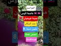 العواصم عاصمة لاوس صلوا على النبي 