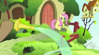 Flutterbitch