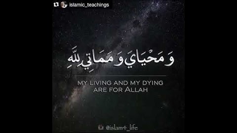 القران الكريم سوره الانعام القاري ناصر القطامي