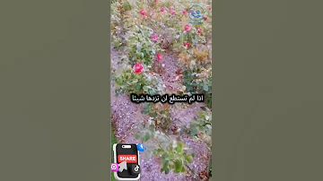 كن نافع للناس الثراء المالي اجعل منفعتك تعم الجميع الوردة اذا تركتها في غصنها عم نفعها الجميع 