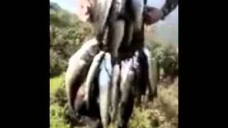 Ali̇ni̇n Levrekleri̇ Günah Çikartma Halleri̇