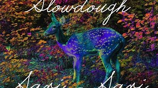 Sari-Sari - Slowdough (Close Room ep1 pt2) chords