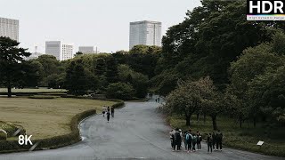 【8K HDR】Venturing the IMPERIAL PALACE in Tokyo IMMERSED