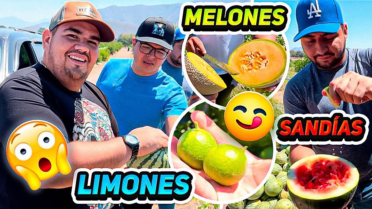 FUIMOS AL RANCHO Y NOS ENCONTRAMOS ESTÁ BONITA HUERTA QUE TIENE DE TODO (PATRON NETO)