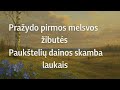 Pražydo pirmos melsvos žibutės