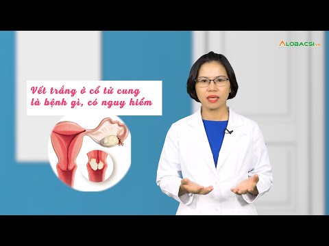 Video: Nấm cóc trắng có nguy hiểm gì không?