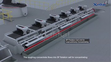 What machines used in Flotation Workshop of Tibet Lead-Zinc Processing Plant, Xinhai