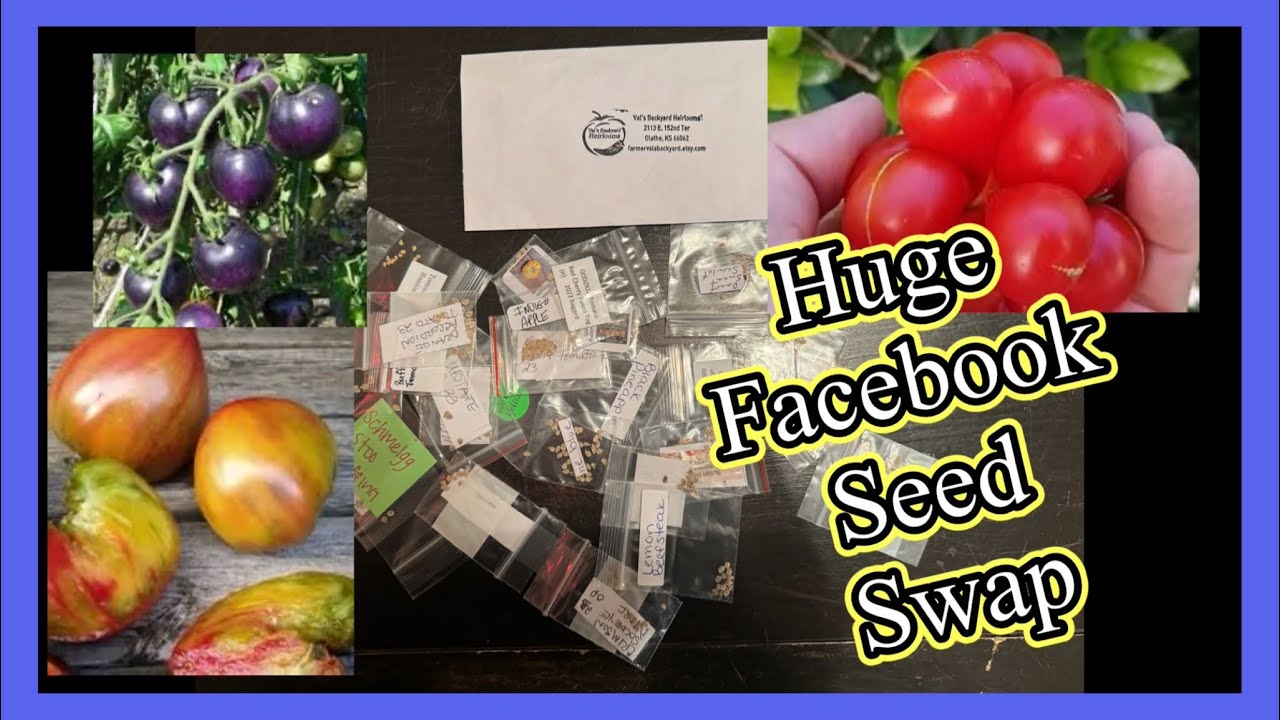 seed-sown-and-grown-seed-swap-haul-hosted-by-val-s-backyard-heirlooms