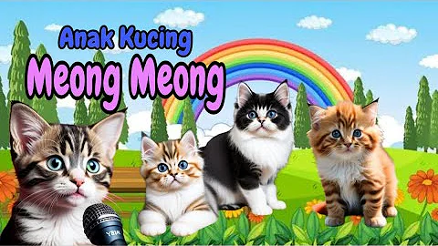 Watch the video about Funny kitten videos | ANAK KUCING MEONG funny animals videos, BABY CATS #kucinglucu #funnycats