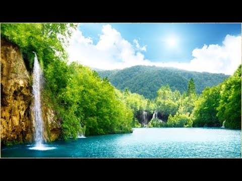 Nature Video HD ,Timelapse Video || Short video