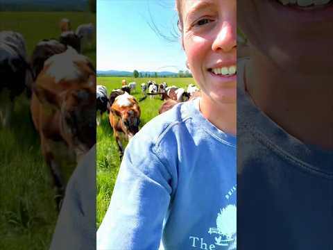 Forget Cowbells, The Bucket's the Best Dinner Bell Ever thumbnail