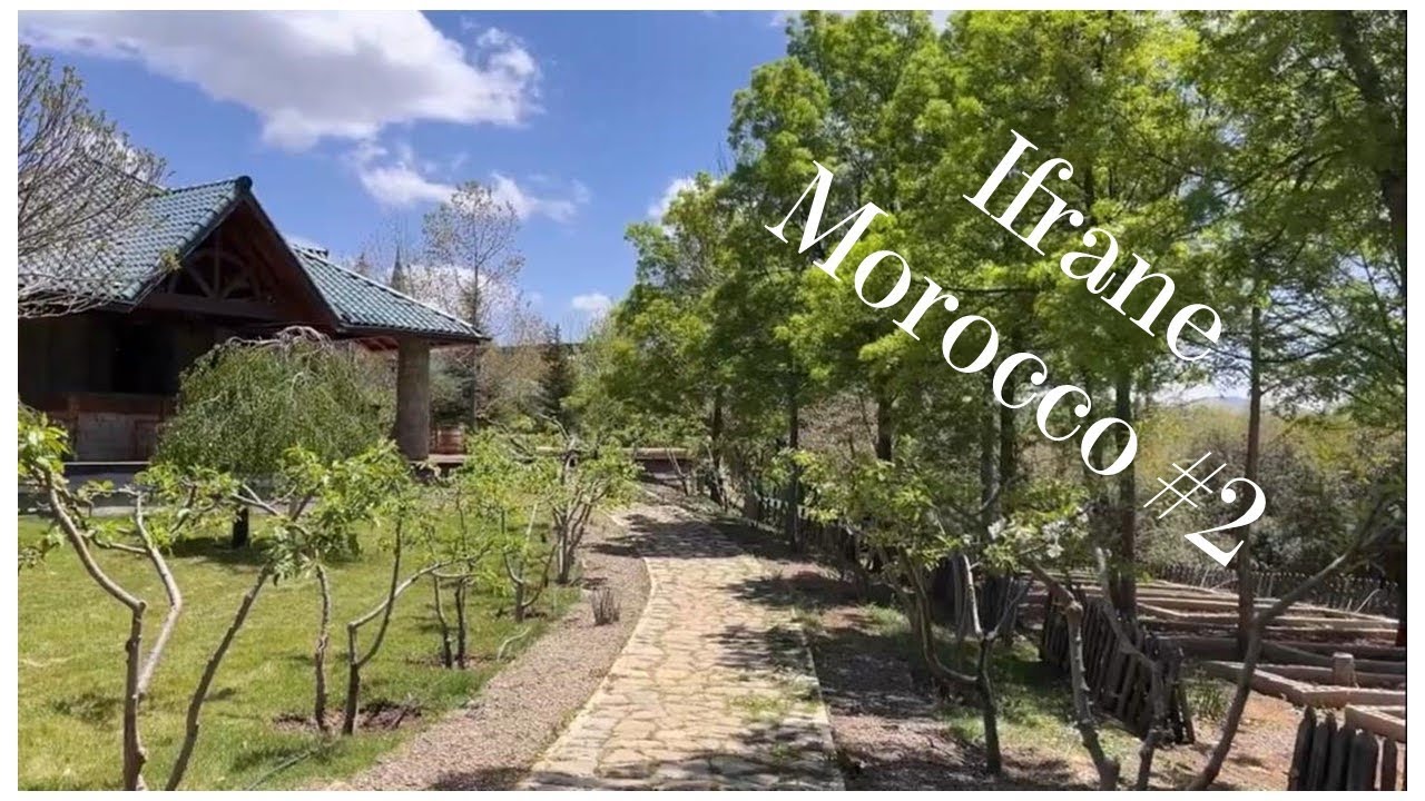 نهار رائع في مدينة إفران 🪷💕Wonderful day in  #2 Ifrane