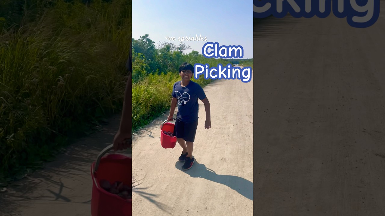 4K Relaxation Video|Clam picking|How to pick Clams 