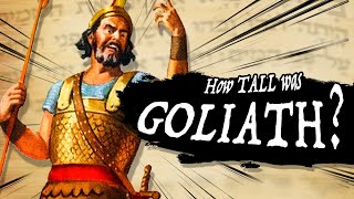 How Tall was Goliath? (feat. Toasters) by hochelaga 483,255 views 2 years ago 13 minutes, 44 seconds