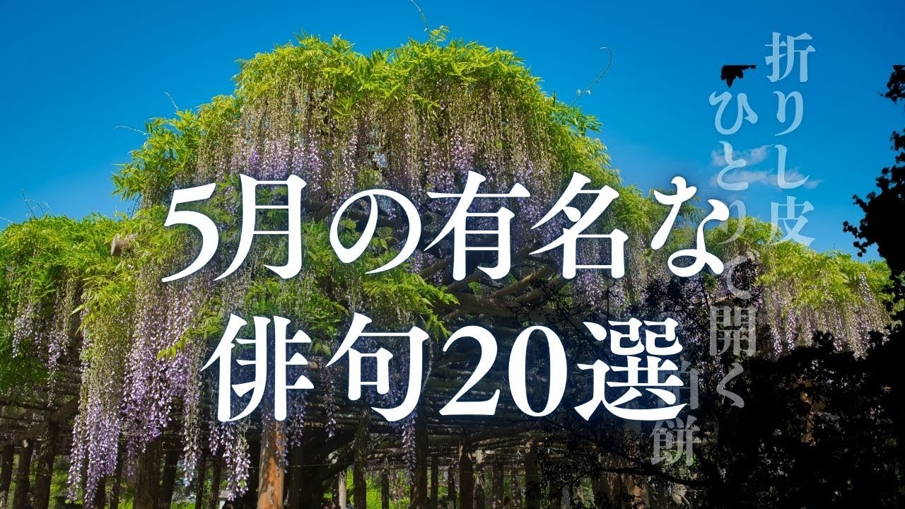 Haiku readings to listen to in May - YouTube