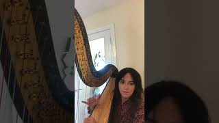 Tum Hi Ho- Mithoon- harp arrangement