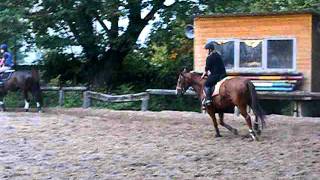 DSCF9172.AVI