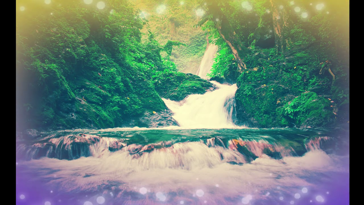 pinkster Koortjes-God Sorg Vir Die Mossies album