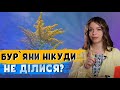 ЩО ТАКЕ РЕЗИСТЕНТНІСТЬ БУР`ЯНІВ? #ОсновиЗемлеробства