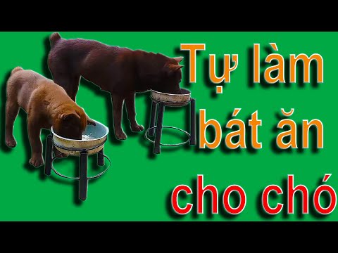 Làm Bát Ăn Cho Chó Siêu Tiết Kiệm - Khương Sơn TV