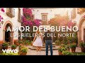 Los Rieleros Del Norte - Amor Del Bueno (Visualizer)