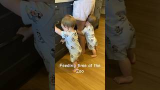 The twins way of letting us know they are hungry. #twins #baby #funny #dad #mom #cute