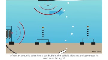 STEMM-CCS controlled CO2 release experiment