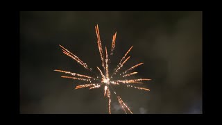 Diwali Celebration in USA (Atlanta) 2021 🪔 🇺🇸