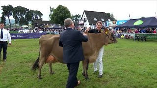 Pencampwriaeth Buwch Odro | Dairy Cow Championship