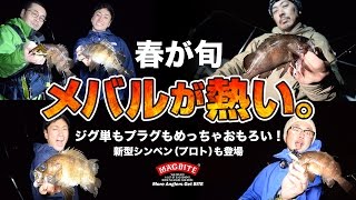 メバリングが超アツ！プラッギング＆ジグ単でボコボコ【マグバイト】