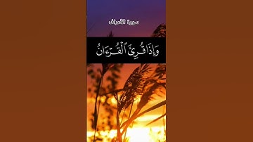 #لايك #اكسبلور #قرآن #راحة_نفسية #سورة الأعراف #ياسر_الدوسري