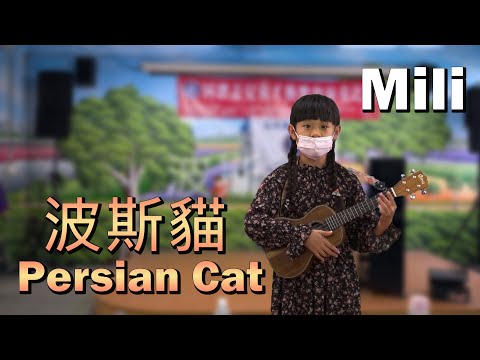 S.H.E - Persian Cat Strum & Sing Ukulele by Mili (7-Year-Old)