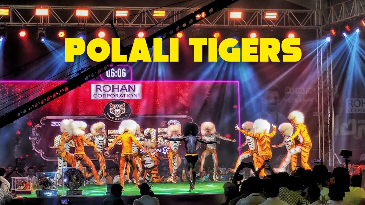 Pili Nalike 2025 Winners | Polali Tigers | Purlda Appena Mokeda Bollilu | Tiger Dance