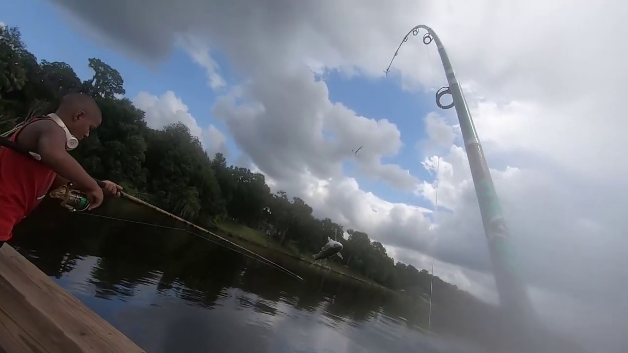 Snag Fishing Mullet ( No Bait!!) In St. John's River YouTube
