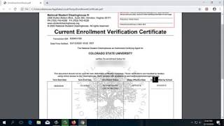 Famous Enrollment Verification Tutorial Wealth