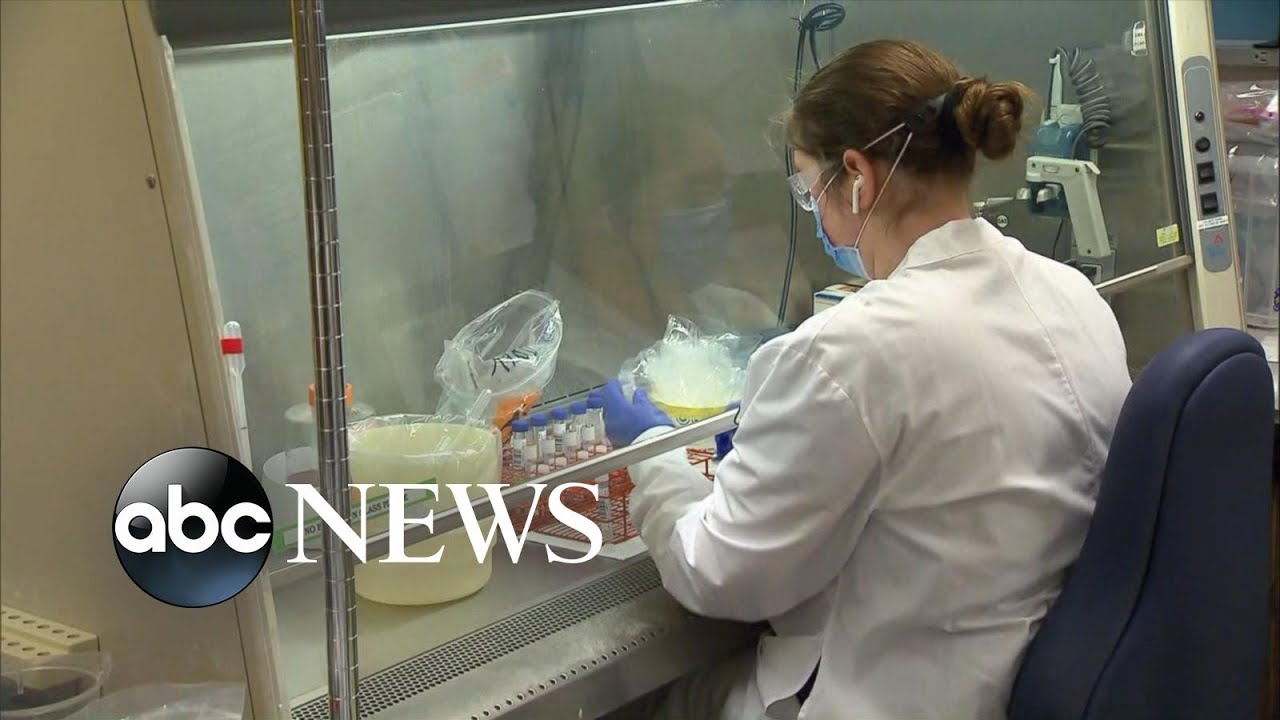 First case of South Africa COVID-19 variant confirmed in US | WNT