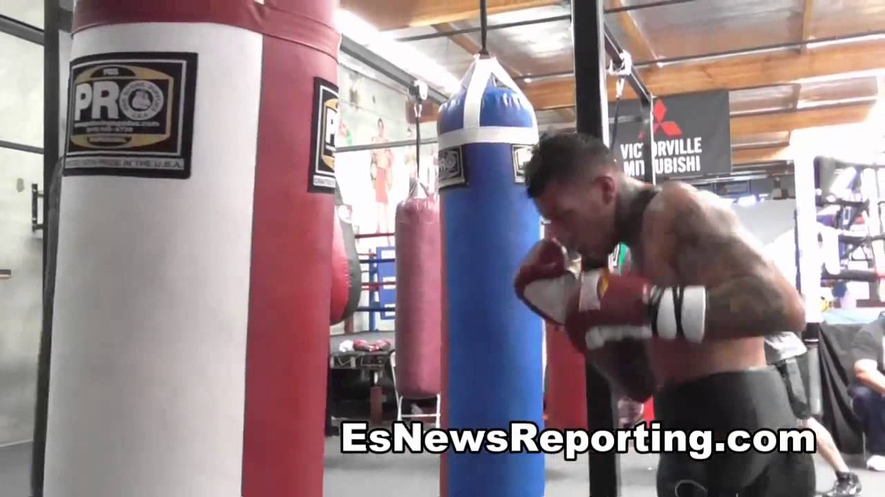 pro boxing heavy bag