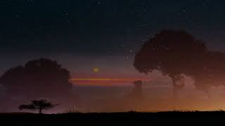 Grieg - Notturno Op. 54 No. 4
