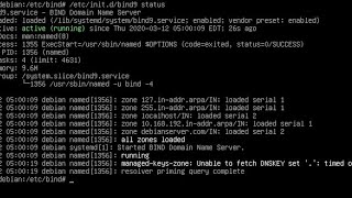 Install DNS Server Debian 5 lewat CLI