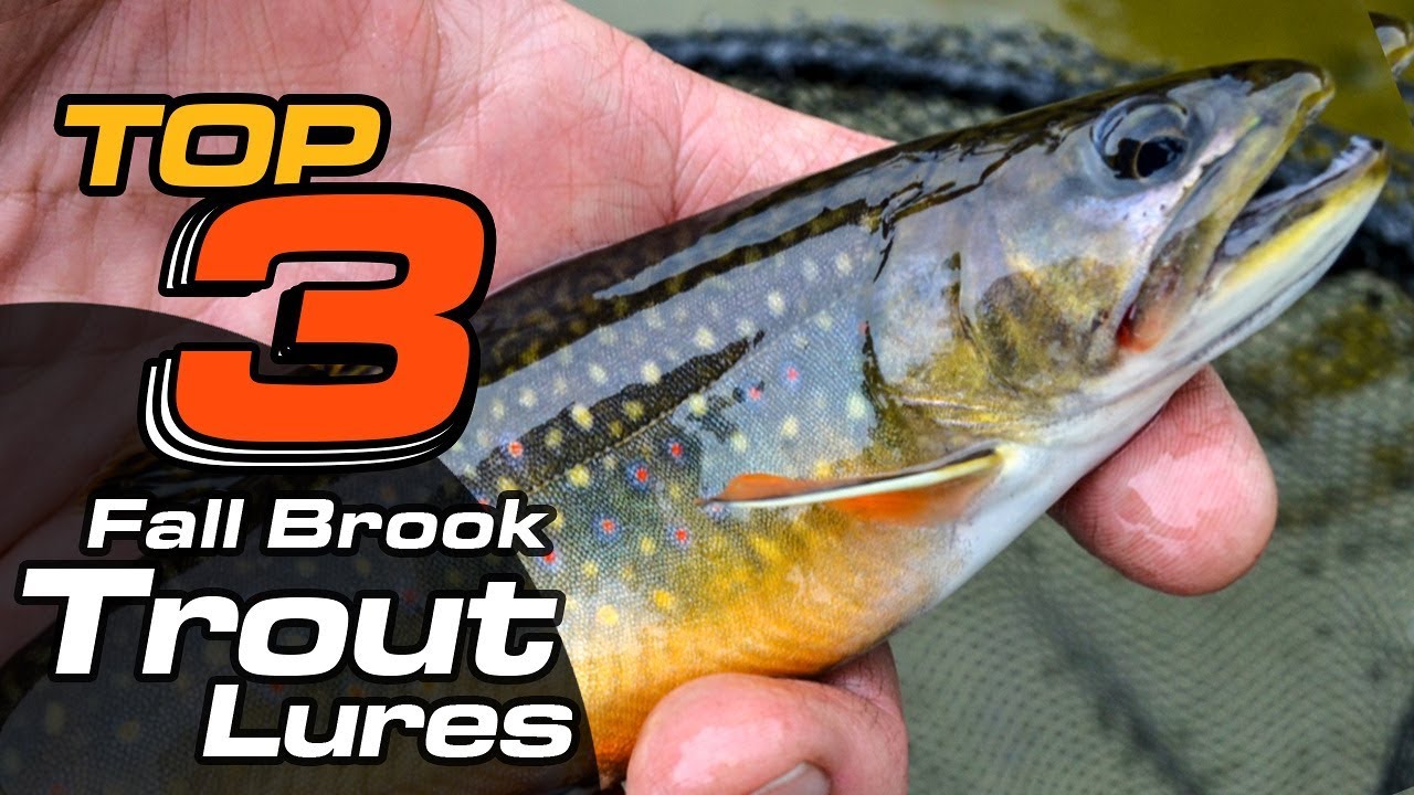 Top 3 Baits for SLAYING Fall Brook Trout in Creeks-Piscifun 