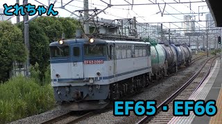 とれちゃん EF66・EF65