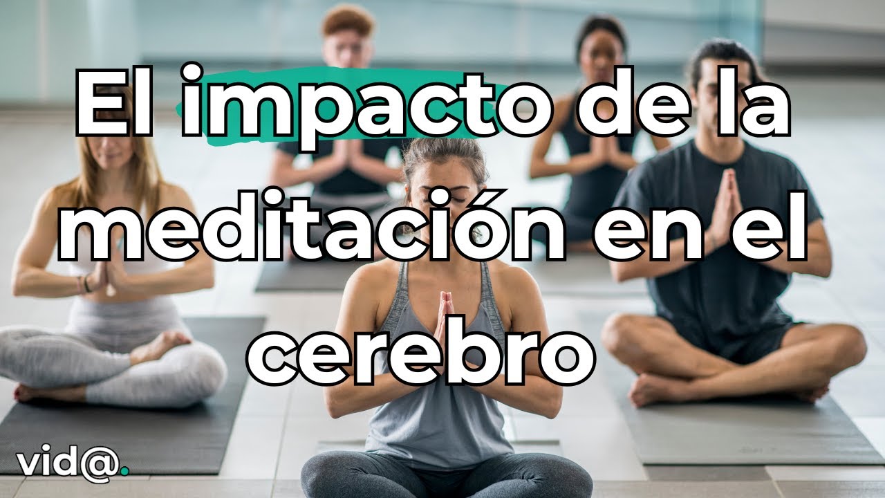 El impacto de la meditación en el cerebro según la ciencia #vidatv # ...