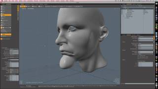 3D Sculpting in Modo 302 - The Head  Part 1