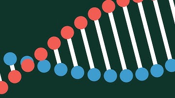 Imagine the Possibilities with SUSE and Rancher